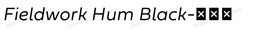 Fieldwork Hum Black字体转换